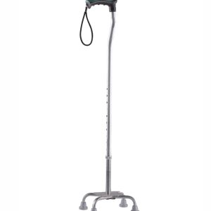 Walking Stick Quadripod