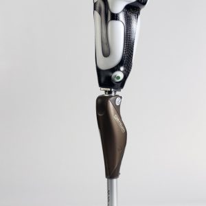 Below Knee Prosthesis