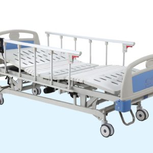 Five function luxurious electric care bed