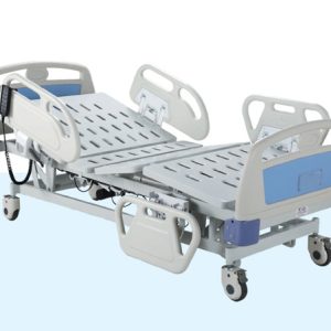Five function luxurious electric care bed
