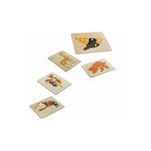 Congnition Drawing Flashboard