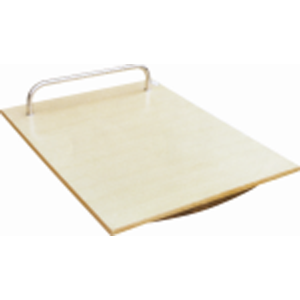 Balance Board (with handrail)
