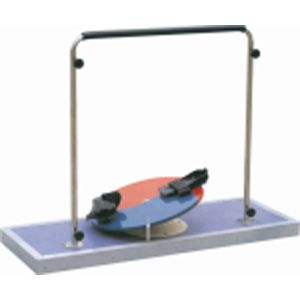 Coxa Rotation Training Device