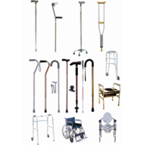 Walking Stick children