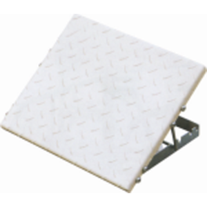 Anklebone Rectification Board